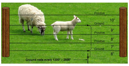 Electrobraid Sheep Fence
